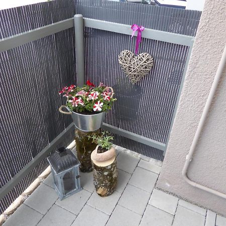 Ferienwohnung Moewe Herdwangen-Schönach المظهر الخارجي الصورة
